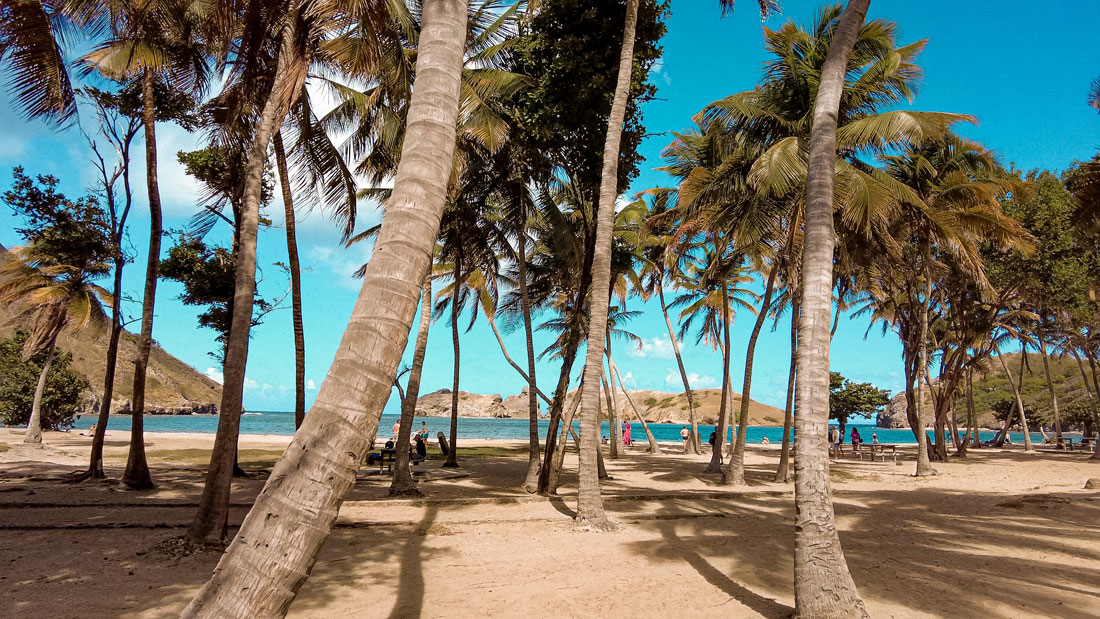 Guadeloupe les Saintes Terre de Haut Terre de Bas visiter les saintes voyage en guadeloupe que voir que faire aux Saintes ? les plus beaux sports des Saintes best off les saintes caraïbes marie-galante où loger aux saintes combien de temps rester aux saintes baie des saintes îles de guadeloupe antilles françaises caraïbes pompierre