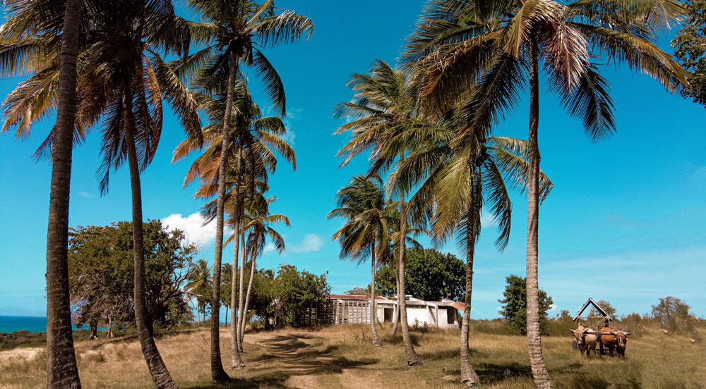 Marie Galante Marie-galante Guadeloupe îles de Guadeloupe la Désirade Marie-Galante les Saintes Terre de Haut voyager en guadeloupe vacances en guadeloupe plus beaux sites de guadeloupe que voir que faire en guadeloupe caraïbes antilles françaises outremer grande terre basse terre itinéraire best of guadeloupe visiter la guadeloupe