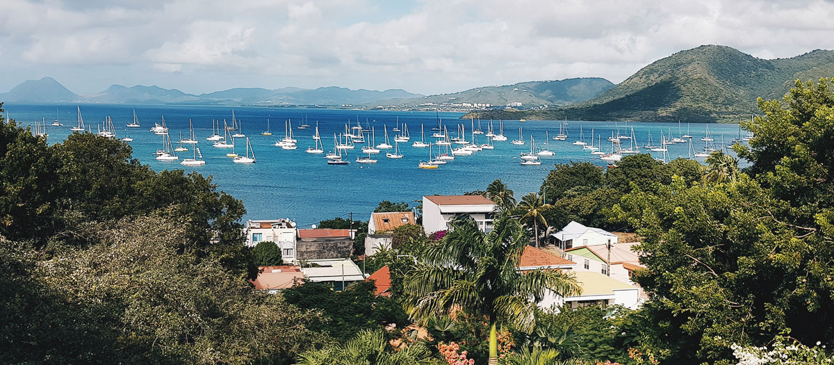 Martinique voyage en martinique visiter la martinique où manger en martinique ? ou manger la meilleure langouste en martinique ? meilleurs restaurants anses d’arlet plage des salines sainte-anne le carbet meilleure table de martinique meilleurs acras de martinique itinéraire martinique que voir que faire en martinique ? blog voyage trois ilets sainte-luce saint-pierre restaurants créole martinique restaurants ouverts en martinique où manger créole ? Langouste fraiche où manger local ? où bien manger local ? meilleur restaurant créole ? Ou bien manger créole ?