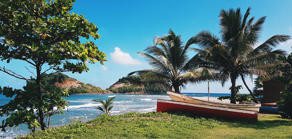 antilles françaises grand riviere tante arlette anse couleuvre distillerie JM macouba Martinique voyage en martinique visiter la martinique nager avec les tortues tortue tortues martinique madinina plus belles plages de martinique plus beaux spots meilleurs spots de snorkeling  plus beaux sites snorkeling martinique blog voyage vlogtrotter emma vlog trotter blogueuse voyage blogueur voyage pmt poissons plongée que faire que voir en martinique sous-marin sous marin corail guadeloupe vacances en martinique blog voyage travelblog FAQ préparer son voyage organisation organiser son voyage itinéraire 2 semaines en martinique itinéraire 3 semaines en martinique 10 jours 12 jours 14 jours  immanquables de martinique best of martinique plus beaux sites Martinique vlog martinique que faire que voir en martinique incontournables best of martinique blog voyage vlogtrotter blogueur voyage guadeloupe antilles caraîbes tortues nager avec les tortues plages paradisiaques roadtrip martinique île aux fleurs jardin balata le carbet