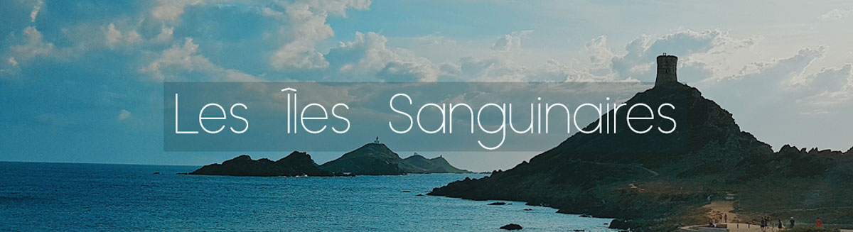 îles sanguinaires Corse Ajaccio Corse voyage en Corse visiter la corse France partir en vacances en corse corsica ajaccio sartène où manger en corse ? porto-vecchio balagne calvi ile-rousse bastia cap corse centuri corte sartène bonifacio iles lavezzi iles sanguinaires porticcio golfe de porto girolata réserve naturelle scandola calanques piana girolata désert des agriate vallée restonica aiguilles bavella nonza monticello meilleures tables de balagne plus beaux spots meilleurs spots plus beaux sites de corse blog voyage vlogtrotter emma vlog trotter blogueuse voyage blogueur voyage que faire que voir en corse  vacances en corse blog voyage travelblog FAQ préparer son voyage organisation organiser son voyage itinéraire 1 semaine en Corse 2 semaines en corse immanquables de corse best of corse plus beaux sites de corse vlog corse incontournables best of corse blog voyage vlogtrotter blogueur voyage roadtrip île de beauté