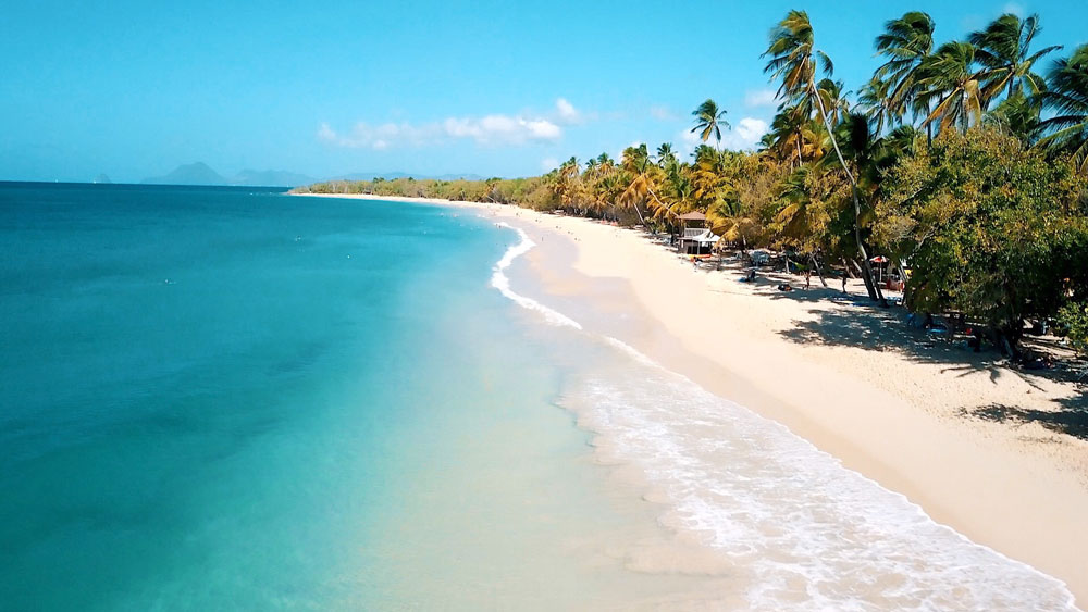 antilles françaises Martinique voyage en martinique visiter la martinique nager avec les tortues tortue tortues martinique madinina plus belles plages de martinique salines anse michel grande anse anse noire anse dufour anses d’arlet pointe marin anse figuier anse couleuvre plus beaux spots meilleurs spots de snorkeling  plus beaux sites snorkeling martinique blog voyage vlogtrotter emma vlog trotter blogueuse voyage blogueur voyage pmt poissons plongée que faire que voir en martinique sous-marin sous marin corail guadeloupe vacances en martinique blog voyage travelblog FAQ préparer son voyage organisation organiser son voyage itinéraire 2 semaines en martinique itinéraire 3 semaines en martinique 10 jours 12 jours 14 jours  immanquables de martinique best of martinique plus beaux sites Martinique vlog martinique que faire que voir en martinique incontournables best of martinique blog voyage vlogtrotter blogueur voyage guadeloupe antilles caraîbes tortues nager avec les tortues plages paradisiaques roadtrip martinique île aux fleurs jardin balata le carbet voyage martinique visiter la martinique itinéraire plus belles plages de martinique guadeloupe antilles caraïbes 2 semaines en martinique vlog blog voyage 