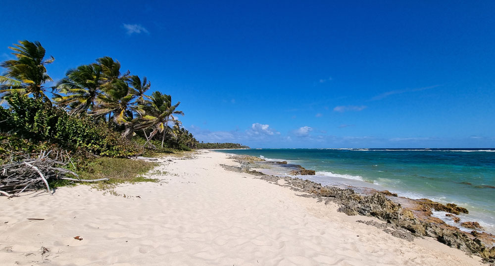 Guadeloupe marie-galante marie galante antilles françaises France voyager dans les caraîbes caraibes outre mer que voir à marie galante ? best of incontournables voyage en guadeloupe que voir en guadeloupe combien de temps rester à marie-galante belle île en mer laurent voulzy canne a sucre visiter marie galante plages plus belles plages de marie-galante plage de la feuillère capesterre