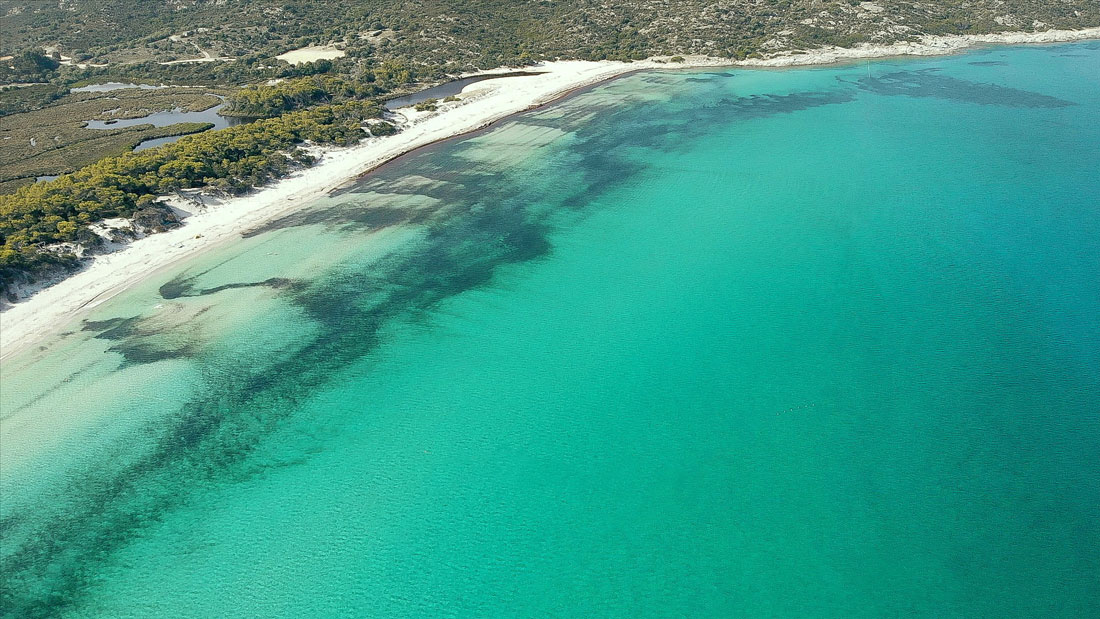 desert agriate voyage en Corse visiter la corse ile de beauté Corse voyage en Corse visiter la corse France partir en vacances en corse corsica ajaccio sartène où manger en corse ? porto-vecchio balagne calvi ile-rousse bastia cap corse centuri corte sartène bonifacio iles lavezzi iles sanguinaires porticcio golfe de porto girolata réserve naturelle scandola calanques piana girolata désert des agriate vallée restonica aiguilles bavella nonza monticello meilleures tables de balagne plus beaux spots meilleurs spots plus beaux sites de corse blog voyage vlogtrotter emma vlog trotter blogueuse voyage blogueur voyage que faire que voir en corse  vacances en corse blog voyage travelblog FAQ préparer son voyage organisation organiser son voyage itinéraire 1 semaine en Corse 2 semaines en corse immanquables de corse best of corse plus beaux sites de corse vlog corse incontournables best of corse blog voyage vlogtrotter blogueur voyage roadtrip île de beauté 