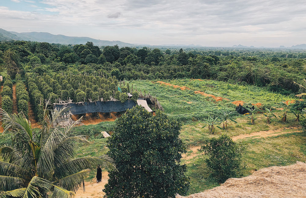 visiter le cambodge voyage asie temples angkor cambodia kep Le cambodge voyage au cambodge visiter le cambodge temples d’angkor angkor wat le bayon angkor thom ta prohm cambodia asie voyager au cambodge phnom penh palais royal villages flottants kompong khleang lac tonlé sap siem reap plus beaux spots meilleurs spots plus beaux sites blog voyage vlogtrotter emma vlog trotter blogueuse voyage blogueur voyage que faire que voir au cambodge  vacances au cambodge blog voyage travelblog FAQ préparer son voyage organisation organiser son voyage itinéraire 2 semaines au cambodge  itinéraire 3 semaines au cambodge 10 jours 12 jours 14 jours  immanquables du cambodge best of cambodge plus beaux sites du cambodge vlog incontournables best of cambodge blog voyage vlogtrotter blogueur voyage roadtrip 