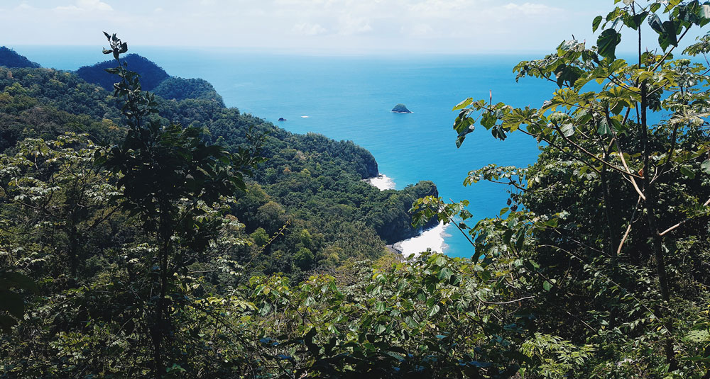 antilles françaises grand riviere tante arlette anse couleuvre distillerie JM macouba Martinique voyage en martinique visiter la martinique nager avec les tortues tortue tortues martinique madinina plus belles plages de martinique plus beaux spots meilleurs spots de snorkeling  plus beaux sites snorkeling martinique blog voyage vlogtrotter emma vlog trotter blogueuse voyage blogueur voyage pmt poissons plongée que faire que voir en martinique sous-marin sous marin corail guadeloupe vacances en martinique blog voyage travelblog FAQ préparer son voyage organisation organiser son voyage itinéraire 2 semaines en martinique itinéraire 3 semaines en martinique 10 jours 12 jours 14 jours  immanquables de martinique best of martinique plus beaux sites Martinique vlog martinique que faire que voir en martinique incontournables best of martinique blog voyage vlogtrotter blogueur voyage guadeloupe antilles caraîbes tortues nager avec les tortues plages paradisiaques roadtrip martinique île aux fleurs jardin balata le carbet