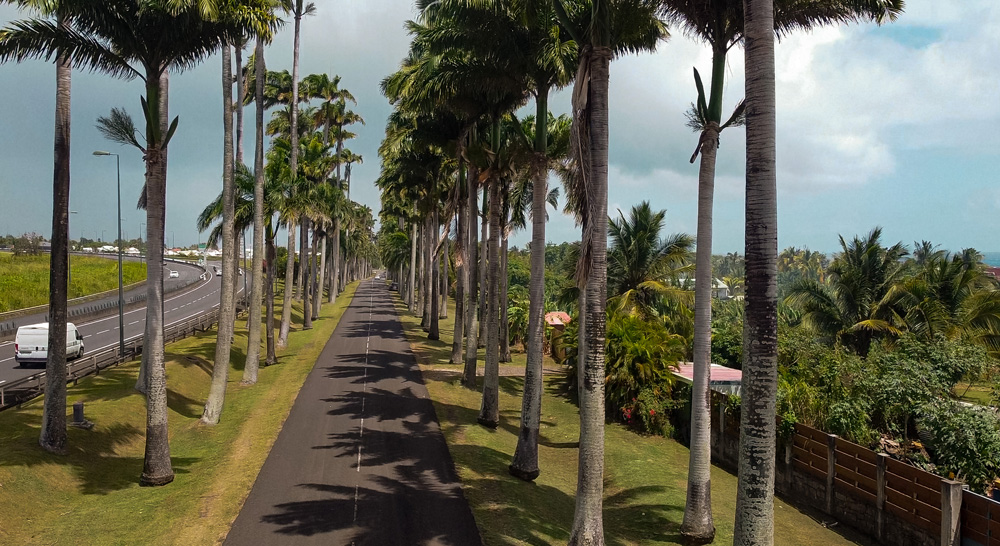 Guadeloupe îles de Guadeloupe la Désirade Marie-Galante les Saintes Terre de Haut voyager en guadeloupe vacances en guadeloupe plus beaux sites de guadeloupe que voir que faire en guadeloupe caraïbes antilles françaises outremer grande terre basse terre itinéraire best of guadeloupe visiter la guadeloupe allée dumanoir capesterre capesterre-belle-eau