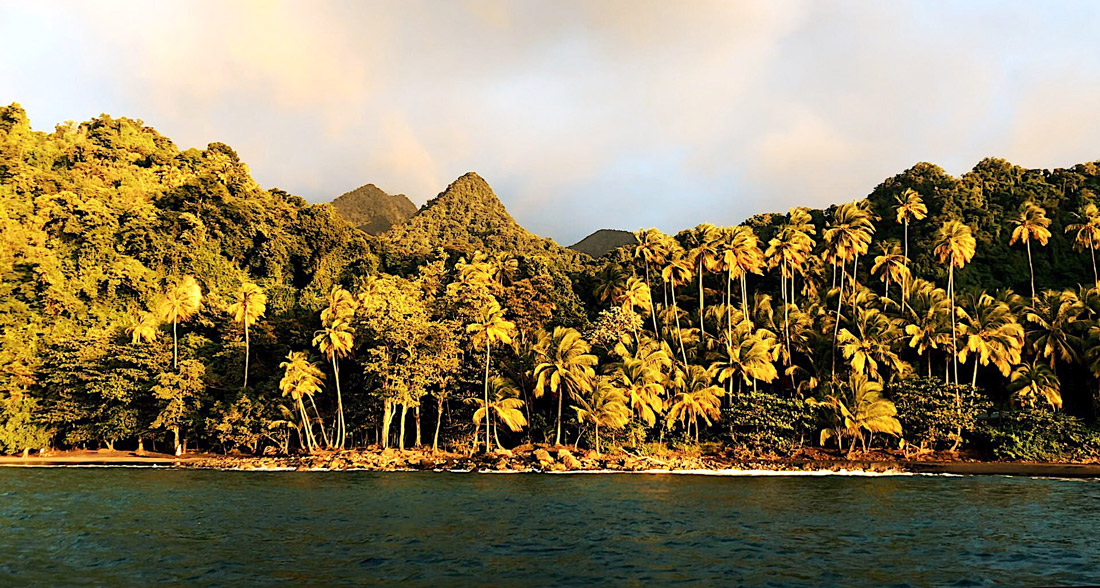 antilles françaises grand riviere tante arlette anse couleuvre distillerie JM macouba Martinique voyage en martinique visiter la martinique nager avec les tortues tortue tortues martinique madinina plus belles plages de martinique plus beaux spots meilleurs spots de snorkeling  plus beaux sites snorkeling martinique blog voyage vlogtrotter emma vlog trotter blogueuse voyage blogueur voyage pmt poissons plongée que faire que voir en martinique sous-marin sous marin corail guadeloupe vacances en martinique blog voyage travelblog FAQ préparer son voyage organisation organiser son voyage itinéraire 2 semaines en martinique itinéraire 3 semaines en martinique 10 jours 12 jours 14 jours  immanquables de martinique best of martinique plus beaux sites Martinique vlog martinique que faire que voir en martinique incontournables best of martinique blog voyage vlogtrotter blogueur voyage guadeloupe antilles caraîbes tortues nager avec les tortues plages paradisiaques roadtrip martinique île aux fleurs jardin balata le carbet