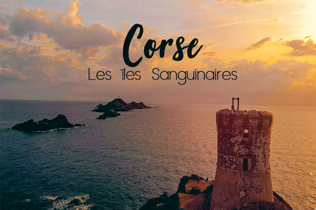 Corse Ajaccio iles Sangunaires Corse voyage en Corse visiter la corse France partir en vacances en corse corsica ajaccio sartène où manger en corse ? porto-vecchio balagne calvi ile-rousse bastia cap corse centuri corte sartène bonifacio iles lavezzi iles sanguinaires porticcio golfe de porto girolata réserve naturelle scandola calanques piana girolata désert des agriate vallée restonica aiguilles bavella nonza monticello meilleures tables de balagne plus beaux spots meilleurs spots plus beaux sites de corse blog voyage vlogtrotter emma vlog trotter blogueuse voyage blogueur voyage que faire que voir en corse  vacances en corse blog voyage travelblog FAQ préparer son voyage organisation organiser son voyage itinéraire 1 semaine en Corse 2 semaines en corse immanquables de corse best of corse plus beaux sites de corse vlog corse incontournables best of corse blog voyage vlogtrotter blogueur voyage roadtrip île de beauté