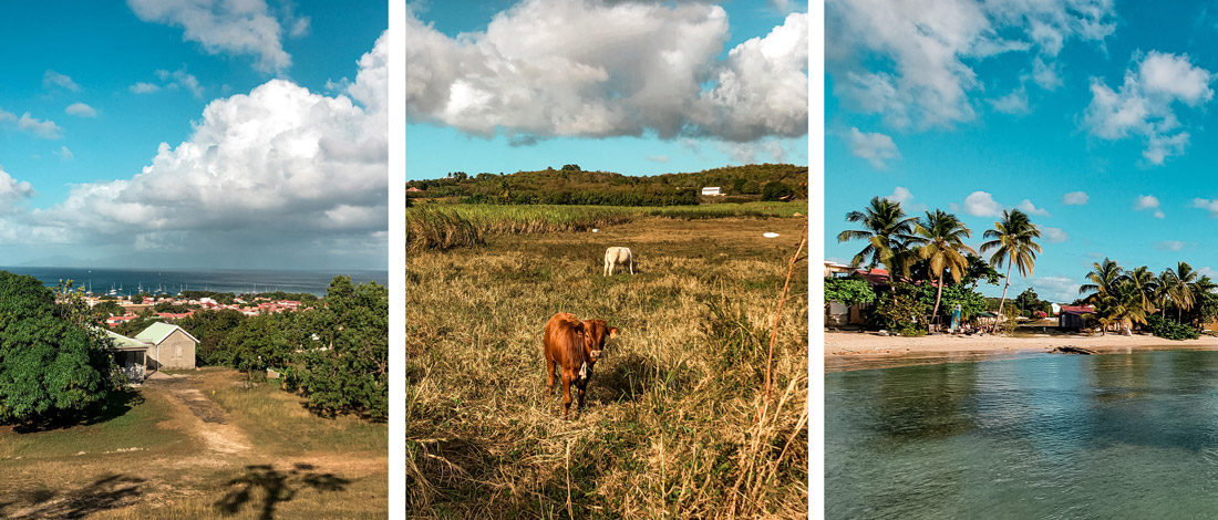 Guadeloupe marie-galante marie galante antilles françaises France voyager dans les caraîbes caraibes outre mer que voir à marie galante ? best of incontournables voyage en guadeloupe que voir en guadeloupe combien de temps rester à marie-galante belle île en mer laurent voulzy canne a sucre visiter marie galante plages plus belles plages de marie-galante