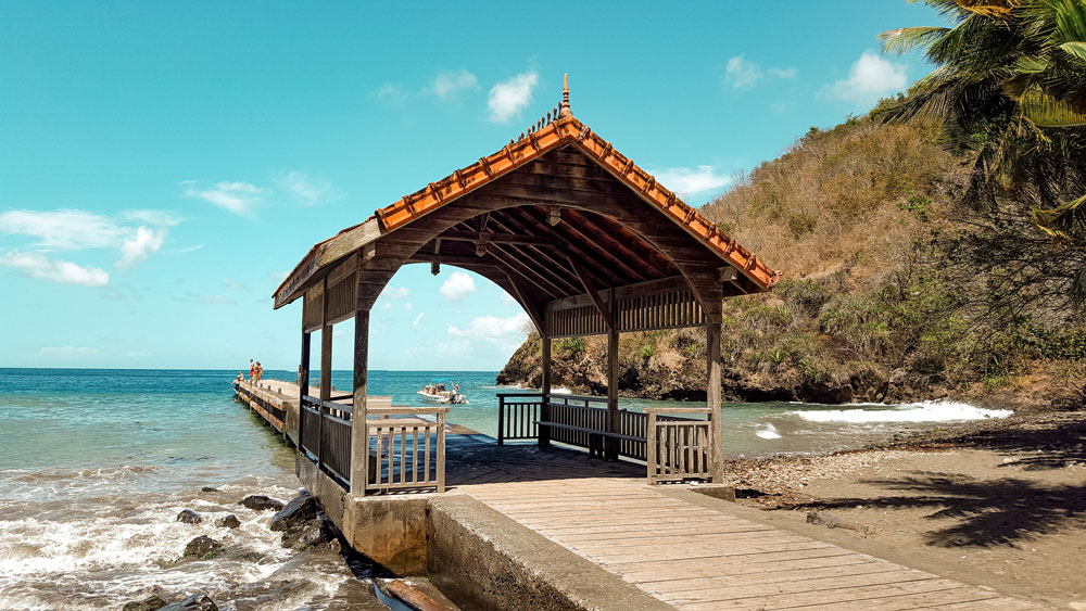 antilles françaises Martinique voyage en martinique visiter la martinique nager avec les tortues tortue tortues martinique madinina plus belles plages de martinique salines anse michel grande anse anse noire anse dufour anses d’arlet pointe marin anse figuier anse couleuvre plus beaux spots meilleurs spots de snorkeling  plus beaux sites snorkeling martinique blog voyage vlogtrotter emma vlog trotter blogueuse voyage blogueur voyage pmt poissons plongée que faire que voir en martinique sous-marin sous marin corail guadeloupe vacances en martinique blog voyage travelblog FAQ préparer son voyage organisation organiser son voyage itinéraire 2 semaines en martinique itinéraire 3 semaines en martinique 10 jours 12 jours 14 jours  immanquables de martinique best of martinique plus beaux sites Martinique vlog martinique que faire que voir en martinique incontournables best of martinique blog voyage vlogtrotter blogueur voyage guadeloupe antilles caraîbes tortues nager avec les tortues plages paradisiaques roadtrip martinique île aux fleurs jardin balata le carbet voyage martinique visiter la martinique itinéraire plus belles plages de martinique guadeloupe antilles caraïbes 2 semaines en martinique vlog blog voyage 