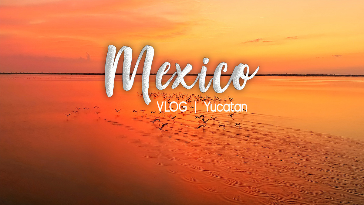 Road trip au yucatan Mexique 3 semaines au Mexique 2 semaines au yucatan que voir au Mexique ? que faire au Yucatan ? les plus beaux sites du yucatan à ne pas manquer chichen itza merida holbox cancun tulum playa del carmen meilleur blog voyage vlog Mexique vlog yucatan 