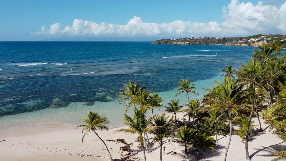 sainte-anne sainte anne plage de la caravelle Guadeloupe îles de Guadeloupe la Désirade Marie-Galante les Saintes Terre de Haut voyager en guadeloupe vacances en guadeloupe plus beaux sites de guadeloupe que voir que faire en guadeloupe caraïbes antilles françaises outremer grande terre basse terre itinéraire best of guadeloupe visiter la guadeloupe