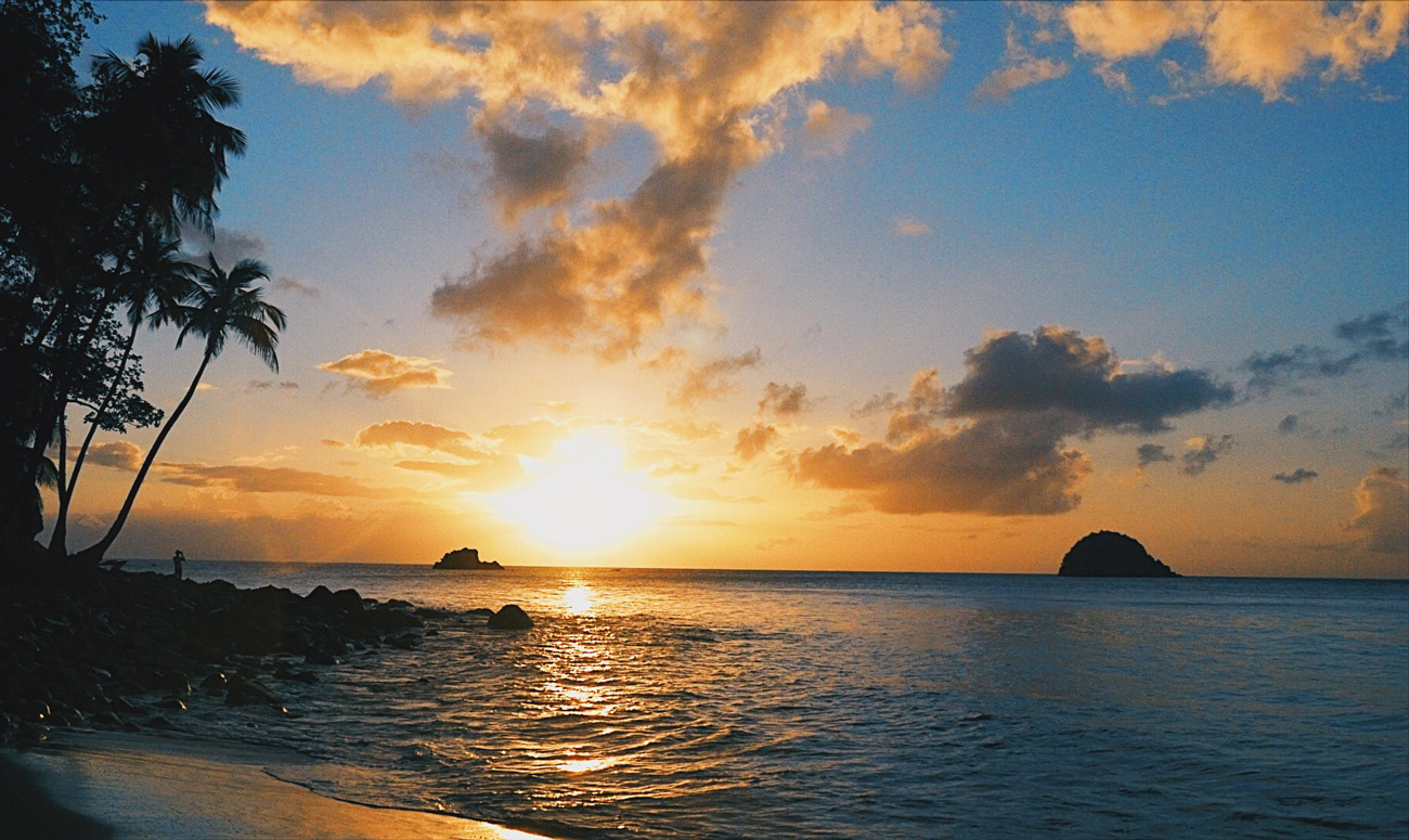 antilles françaises grand riviere tante arlette anse couleuvre distillerie JM macouba Martinique voyage en martinique visiter la martinique nager avec les tortues tortue tortues martinique madinina plus belles plages de martinique plus beaux spots meilleurs spots de snorkeling  plus beaux sites snorkeling martinique blog voyage vlogtrotter emma vlog trotter blogueuse voyage blogueur voyage pmt poissons plongée que faire que voir en martinique sous-marin sous marin corail guadeloupe vacances en martinique blog voyage travelblog FAQ préparer son voyage organisation organiser son voyage itinéraire 2 semaines en martinique itinéraire 3 semaines en martinique 10 jours 12 jours 14 jours  immanquables de martinique best of martinique plus beaux sites Martinique vlog martinique que faire que voir en martinique incontournables best of martinique blog voyage vlogtrotter blogueur voyage guadeloupe antilles caraîbes tortues nager avec les tortues plages paradisiaques roadtrip martinique île aux fleurs jardin balata le carbet